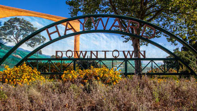 Hayward Medical Space